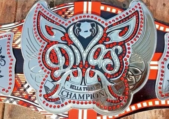Divas Bella Twins Wrestling Championship Replica Title Belt - Adult Size