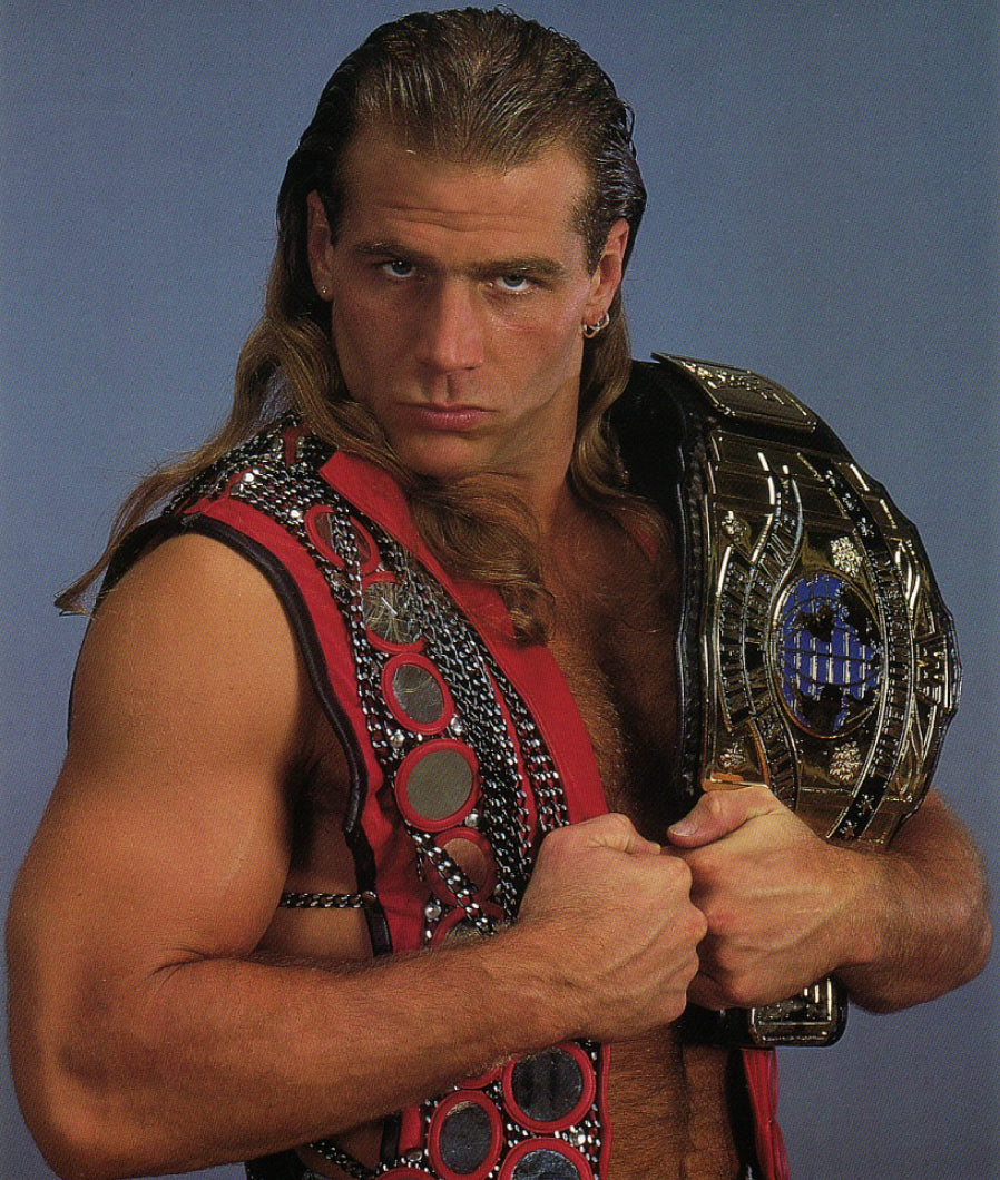 <p>Shawn Michaels</p>